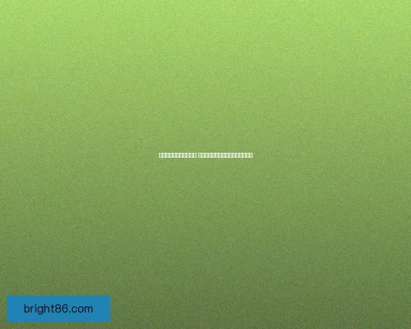 斗战神罗刹职业加点攻略 提升输出与生存能力的最佳方案解析