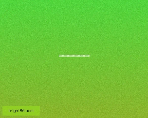 固执征服者胸甲的传奇象征与荣耀背后隐藏的勇气与坚持